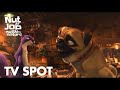 The Nut Job 2: Nutty by Nature - Trailer 'Animals vs. Humans'