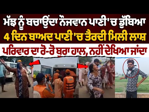 Punjab Floods: Young man drowned while saving a Buffalo