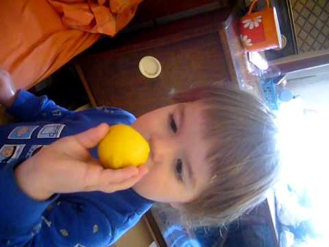 Seznameni s citronem