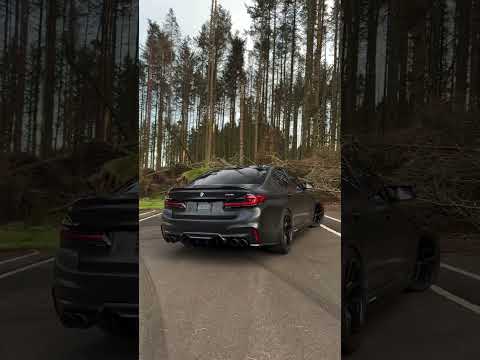 TOTAL JET BLACK MONSTER CROSSING 😲 #reels #youtubeshorts #viralvideo #m5 #bmw #bmwmmotorsport