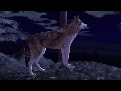 Ultimate Wolf Simulator 2, By Gluten Free games - YouTube