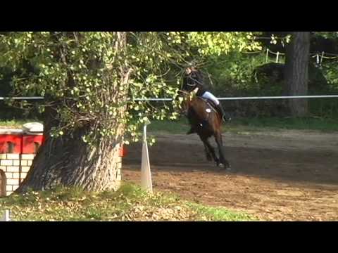 Anicka ZM Bolka zari 2014