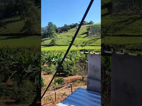 Um final de semana em Minas. #minasgerais #canaã #plantaçao