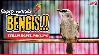 Download lagu PANCINGAN TRUCUKAN GACOR ROPEL PANJANG‼️MASTERAN RAJA PIKAT TRUCUKAN BAHAN PASTI CEPAT NYAUT GACOR mp3