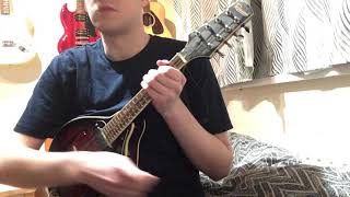 The Limerick Rake- Pogues Mandolin cover
