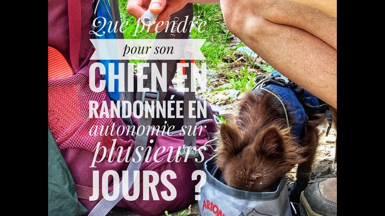 Que mettre dans son sac pour son chien lors d'une randonnée en itinérance sur plusieurs jours 