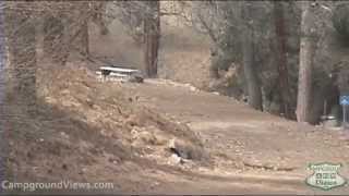 Tehachapi Mountain Park Video