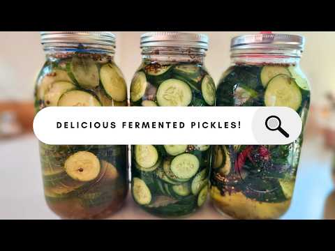 The Only Way I Eat Cucumbers! Simple Fermented Pickles Tutorial