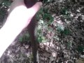 Заблудился в лесу:( 