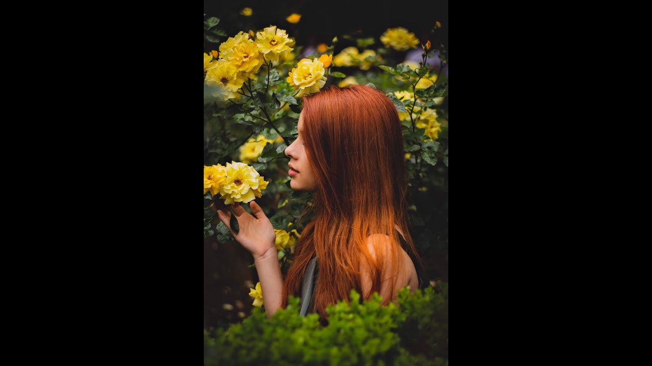 Flowers in Bloom   lyric video by johnhkfisher - please subscribe, like and share-thanks