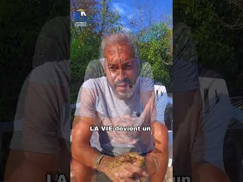 Ta Vie, ou LA VIE ? (L’enfer ou le paradis)