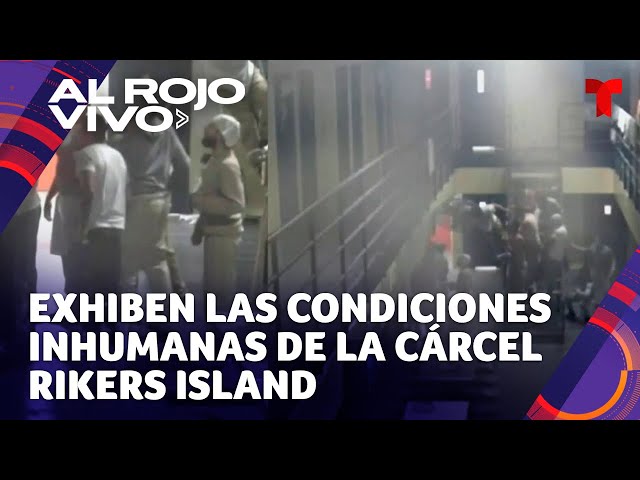 Reproducir vídeo de YouTube