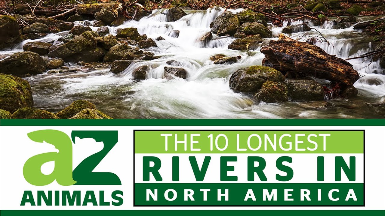 What are the most important rivers in North America? Tipseri