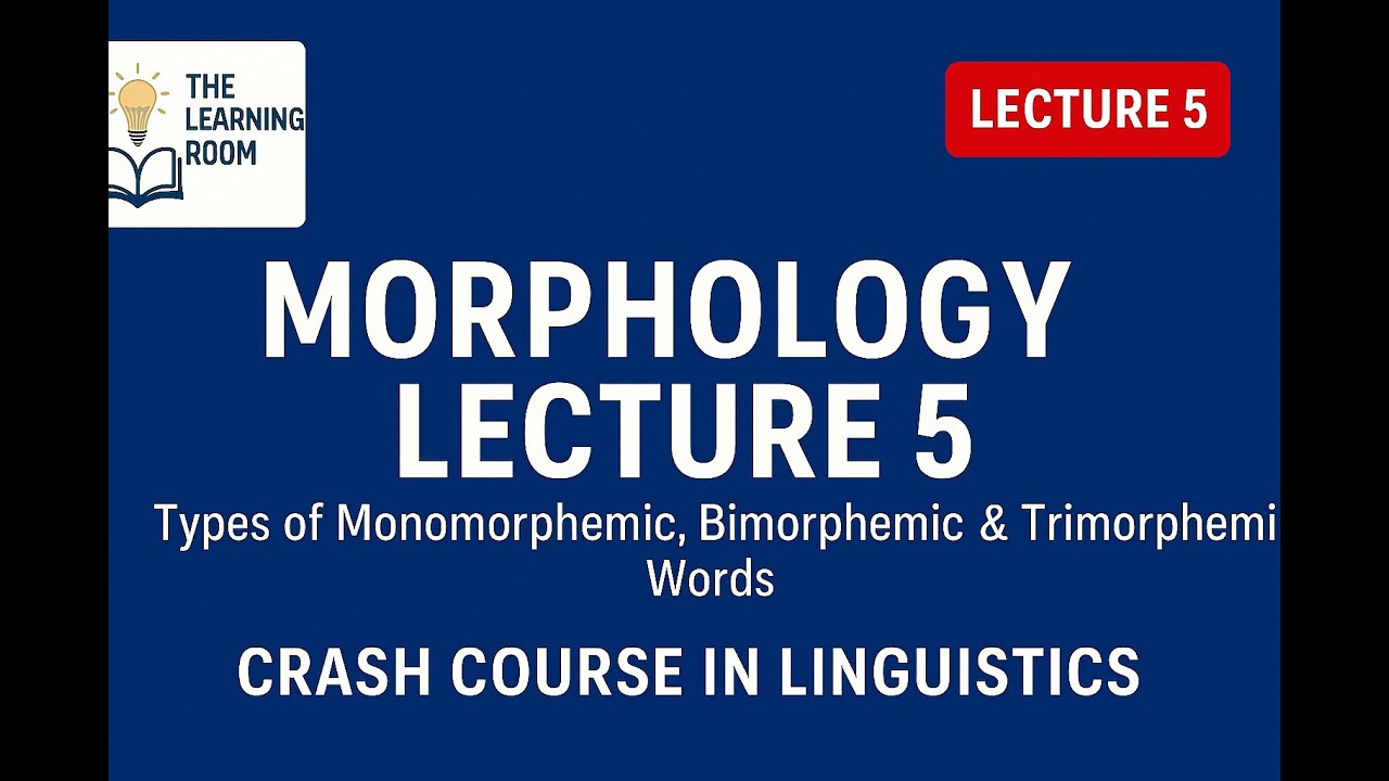 Morphological Types of Words Explained | Crash Course in Morphology Lecture 5 #linguistics #english
