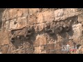 Jerusalem's Gates -- Holy Land Video