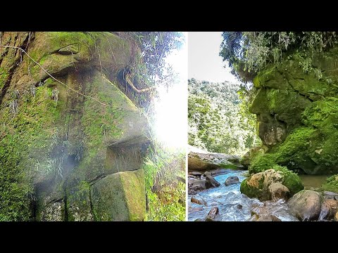 The 7 Most Intriguing Mysteries of the Amazon That Leave Even Scientists Perplexed