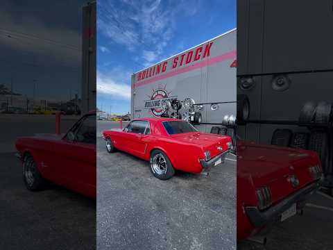 1965 Mustang on Magnum 500 rims. Switched from 14s. #magnum500wheels #65mustang #1965mustang