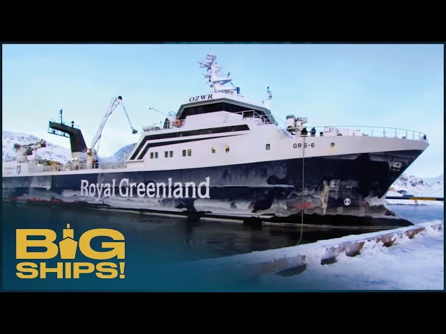 Akamalik: Greenland's Arctic Mega-Trawler SDDEFAULT Thumbnail