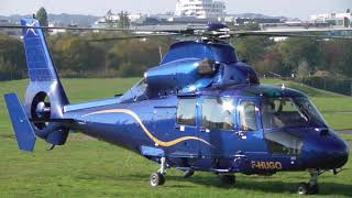 Private helicopter (Eurocopter AS365N Dauphin)