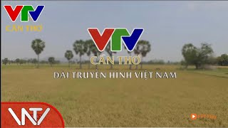 VTV CẦN THƠ • IDENT Từ 07/10/2025 (5)