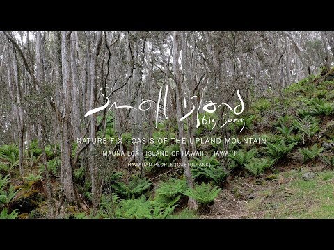 NATURE FIX - Oasis on the upland mountain - Hawai'i - 4K (from Small Island Big Song)