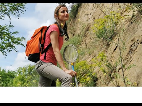 Symposia Series: Jovana Bila Dubaić (Monitoring Protocols, Part 1, 28 June 2023)