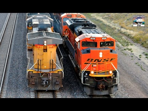 Train Meets and Races!