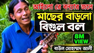 মাছ নিয়ে ভিডিও গান (1)