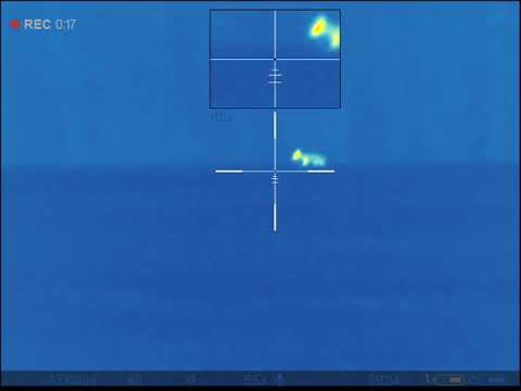 Pulsar Thermion XM50 Savage 11 .204 Hornady 32gr V-Max