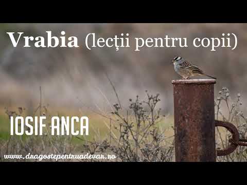 Iosif Anca - Vrabia (lecții pentru copii)