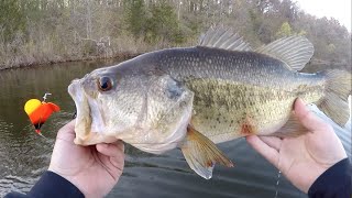 BIG BASS on TOPWATER Baits - Central Minnesota