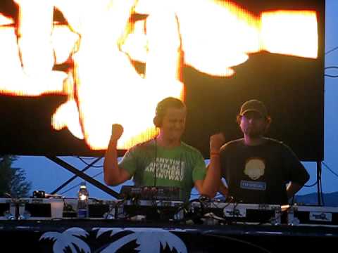 damolh33  bee free 2009 1.