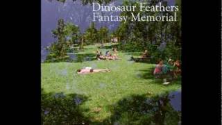 Dinosaur Feathers - Vendela Vida