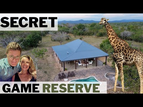 Sleeping with Giraffes: Inside Dombeya, Eswatini’s Hidden Wildlife Reserve 🇸🇿 🦒