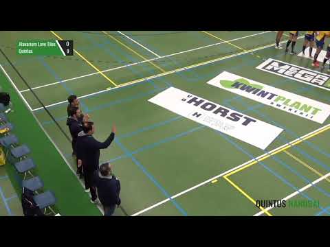 20211024 Alavarium Love Tiles   Quintus DS1