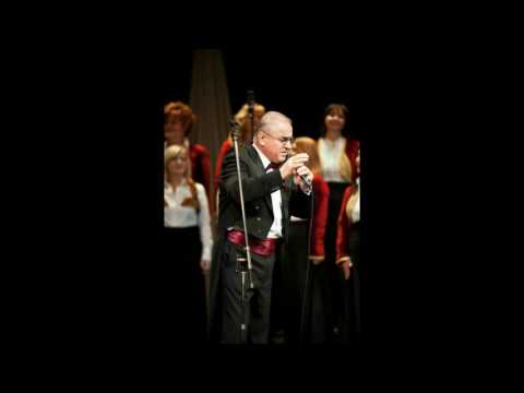 Safet Dedajić Cover - U lijepom starom gradu Višegradu