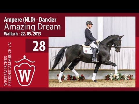 28 Amazing Dream Wallach v. Ampere (NLD) - Dancier