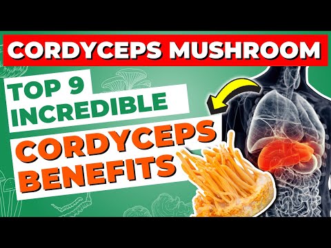 Cordyceps Mushroom: Top 9 Incredible Cordyceps Benefits