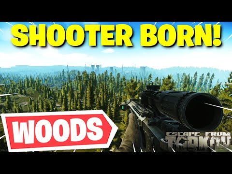 Escape From Tarkov PVE - The BEST Spots To Get Your Shooter Born In Heaven Kills On WOODS!