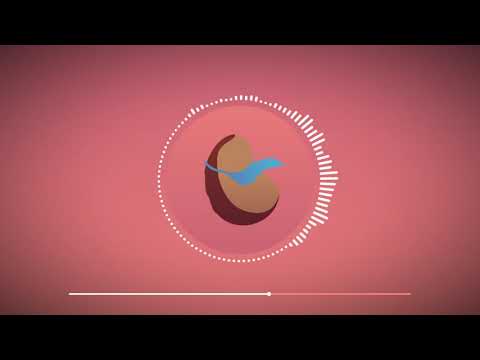 Onefin - Bean (Cockroach in the Kitchen)