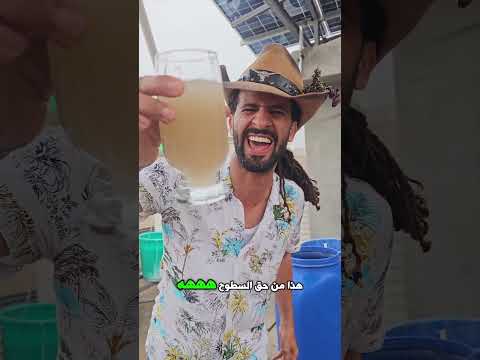 نائف الوافي