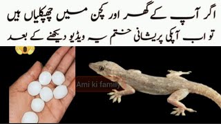 Get rid of Lizard  Chipkali marne ka tarika| lizard killer Spray |Ghar Se Chipkali Bhagane Ka Tarika