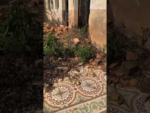 Antigo casarão em ruínas em Marzagão /carvalho de Brito /MG - 10/08/2026 segunda feira #ruinas