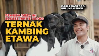Download lagu RAHASIA SUKSES TERNAK KAMBING PE KALIGESING - seperti ini cara ternak kambing etawa kaligesing mp3 Download lagu RAHASIA SUKSES TERNAK KAMBING PE KALIGESING - seperti ini cara ternak kambing etawa kaligesing mp3