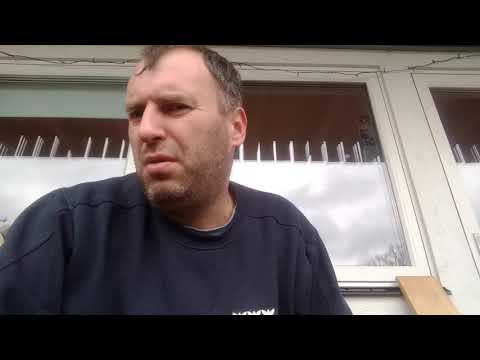 Sevqet Haljimi i radna snaga u Švedskoj