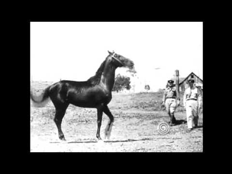 Entre os Índios do Sul