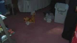 Drop Dead, Gorgeuous-Well, I Never Knew You Were So Much Fun