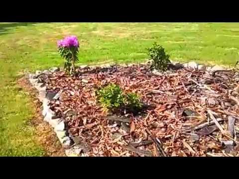 "Wczasy pod gruszą" - atrakcje ośrodka wypoczynkowego oraz spacer po pobliskim lesie