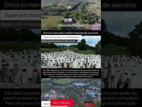7.560 Hectares em Mozarlândia Go | whatsapp 62 99373-6407