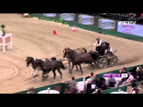 FEI World Cup™ Driving 2013/14 Leipzig - Koos De Ronde 3rd Place